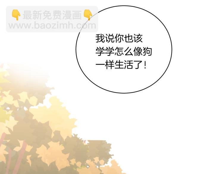 第35话 一起玩吧！