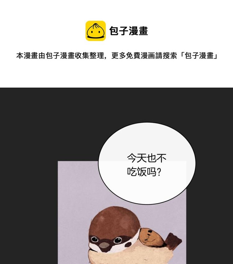 第36话 选择的权利