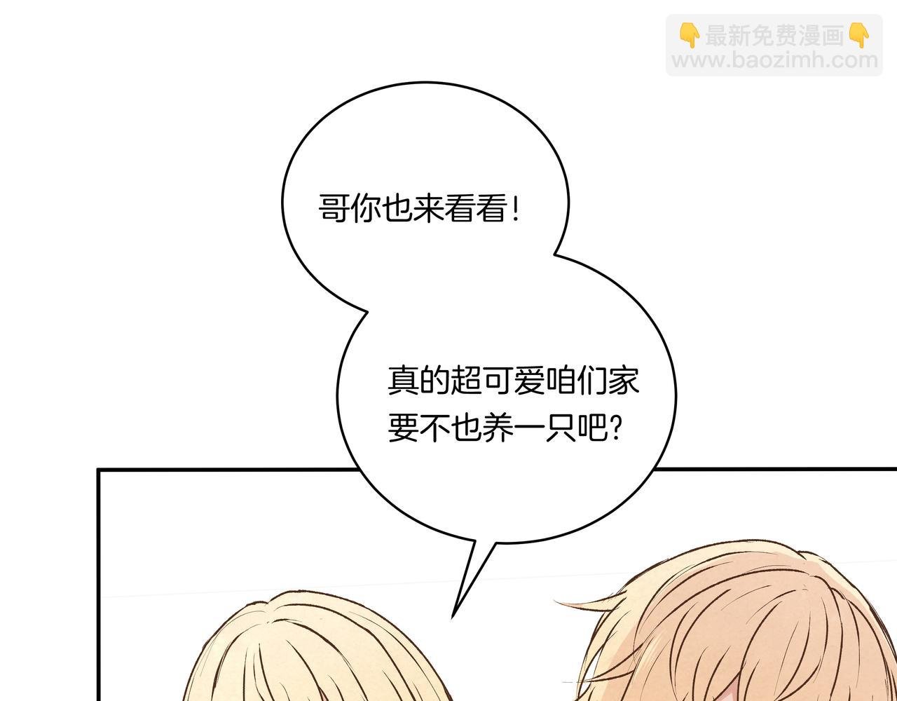第41话 焦糖布丁