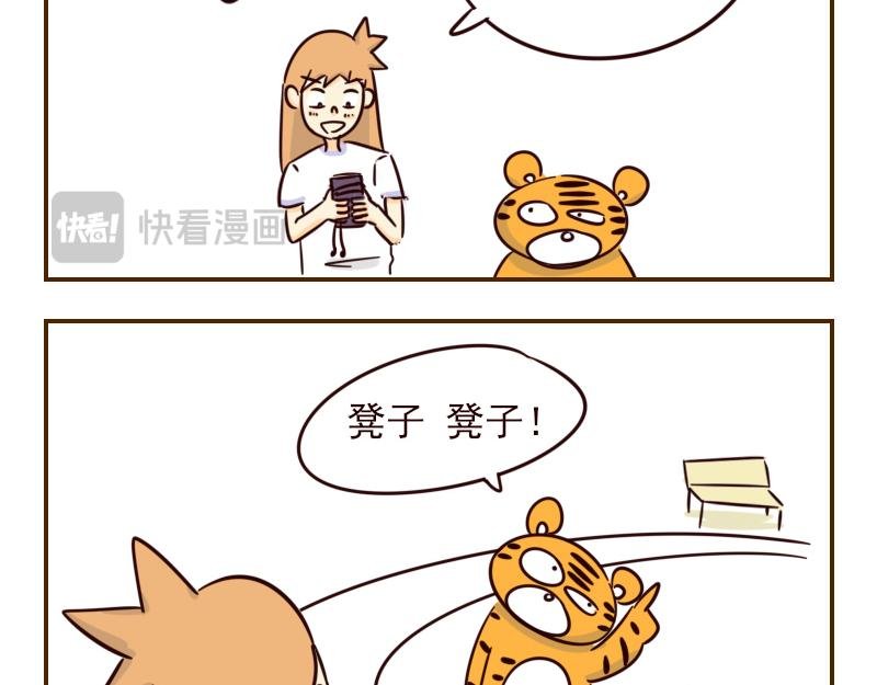 十二 不能让动物角色佩戴的道具