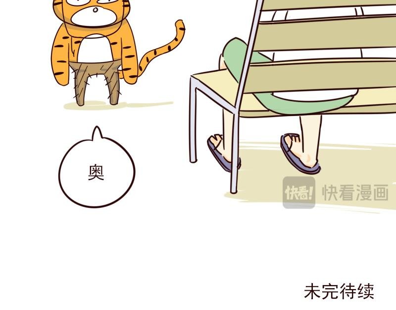 十二 不能让动物角色佩戴的道具