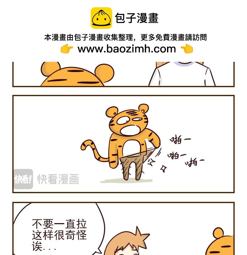十一 它是呆子