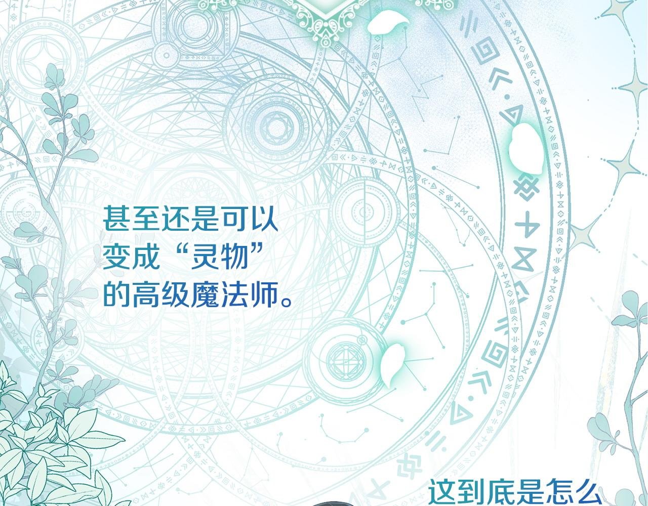 第4话 魔法师的保护