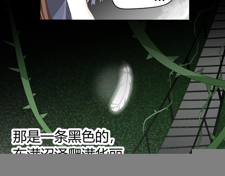 第17话 我会用努力来获得成功！