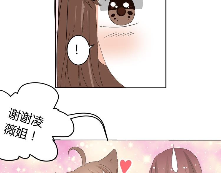 第26话 绿帽子