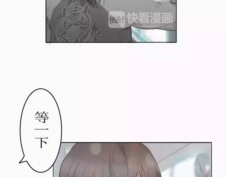 第4话 寄人篱下的小野猫