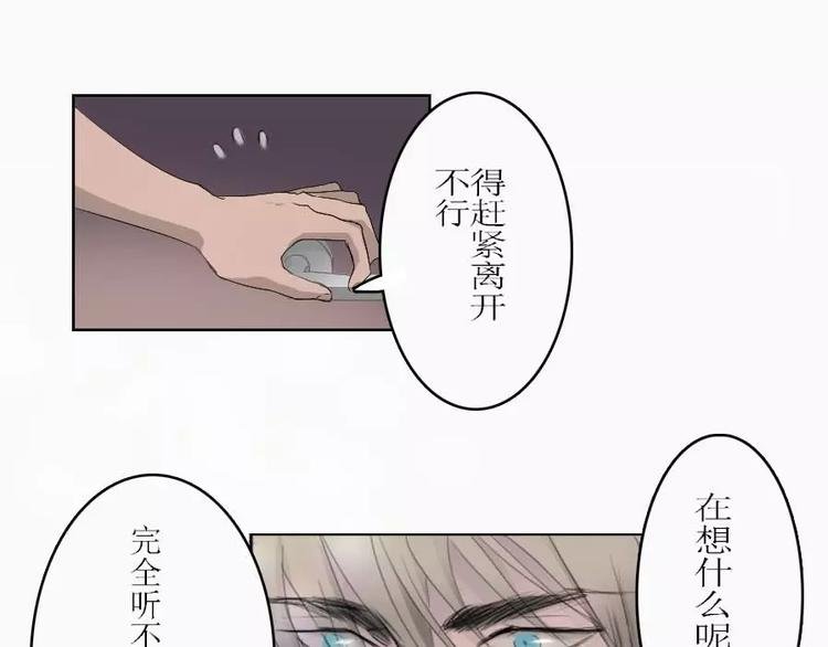 第4话 寄人篱下的小野猫