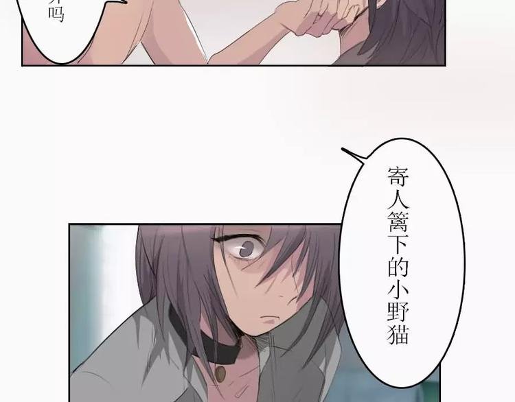 第4话 寄人篱下的小野猫