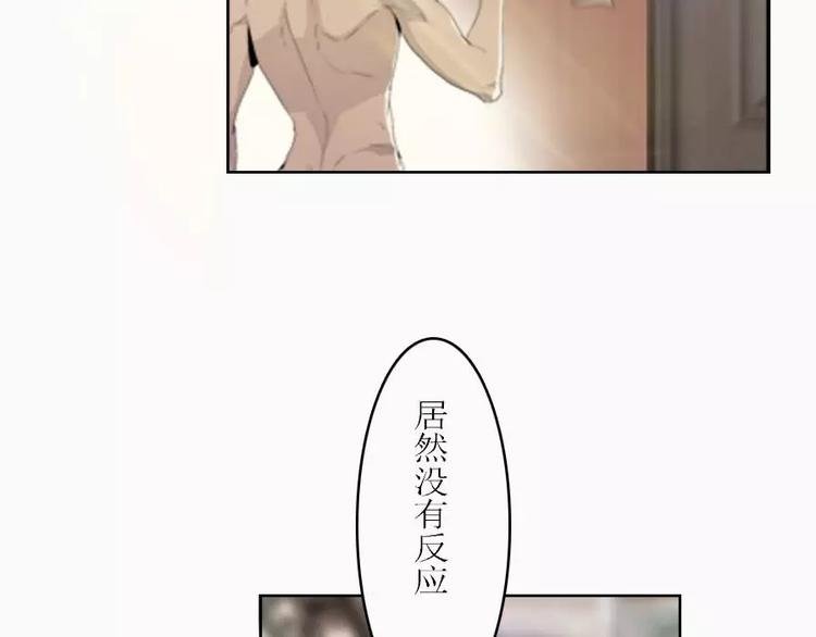第4话 寄人篱下的小野猫