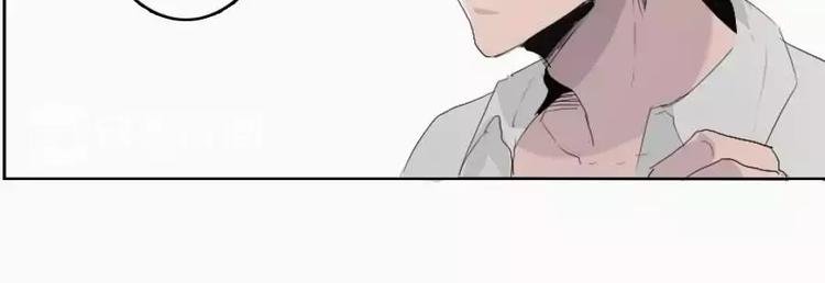 第4话 寄人篱下的小野猫