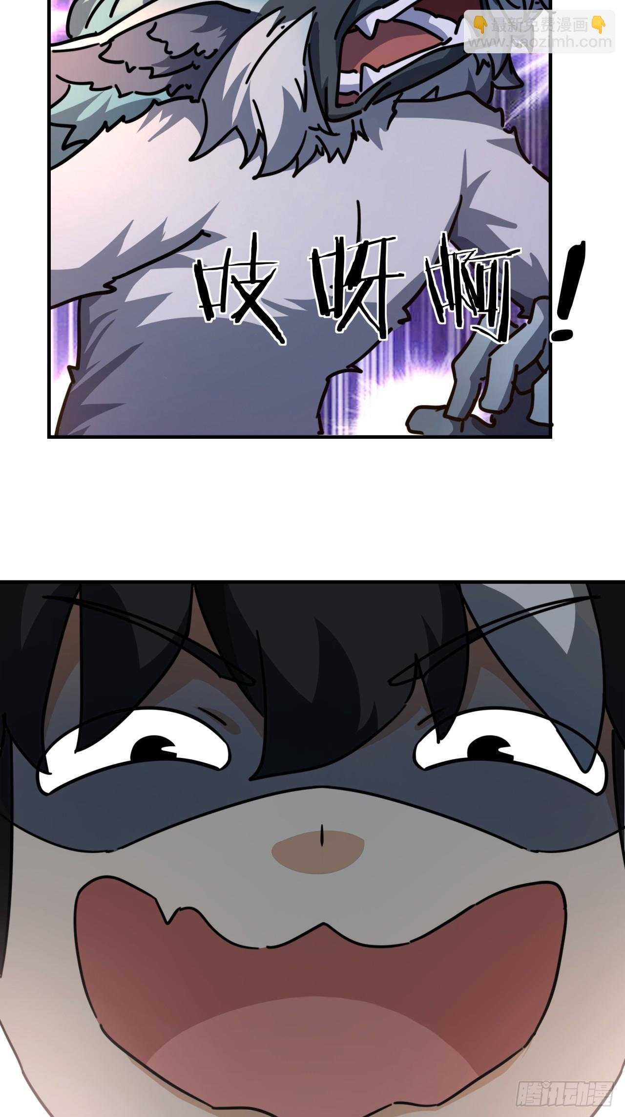 20话 灵猫腾跃符