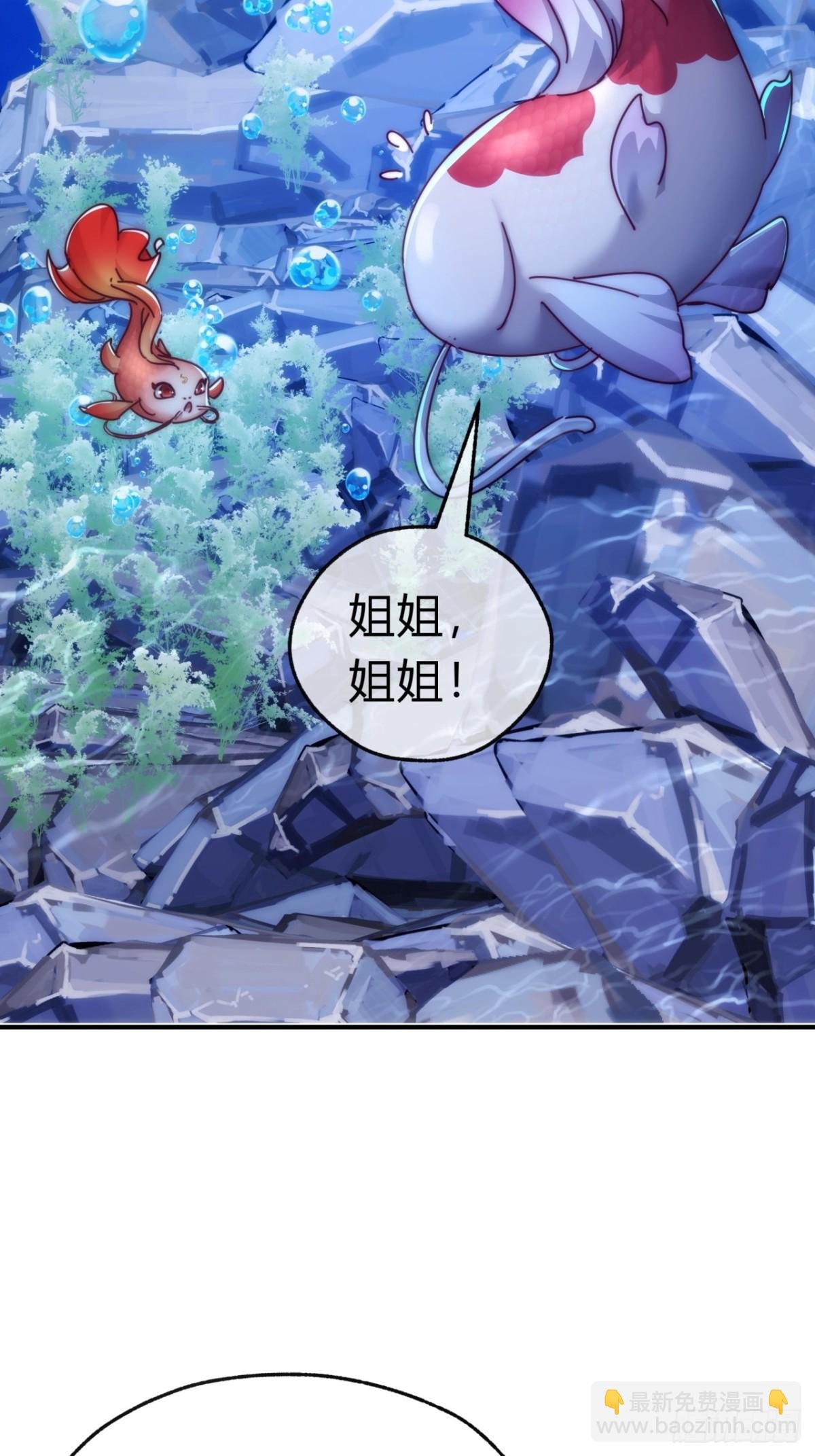 67话 锦鲤一族
