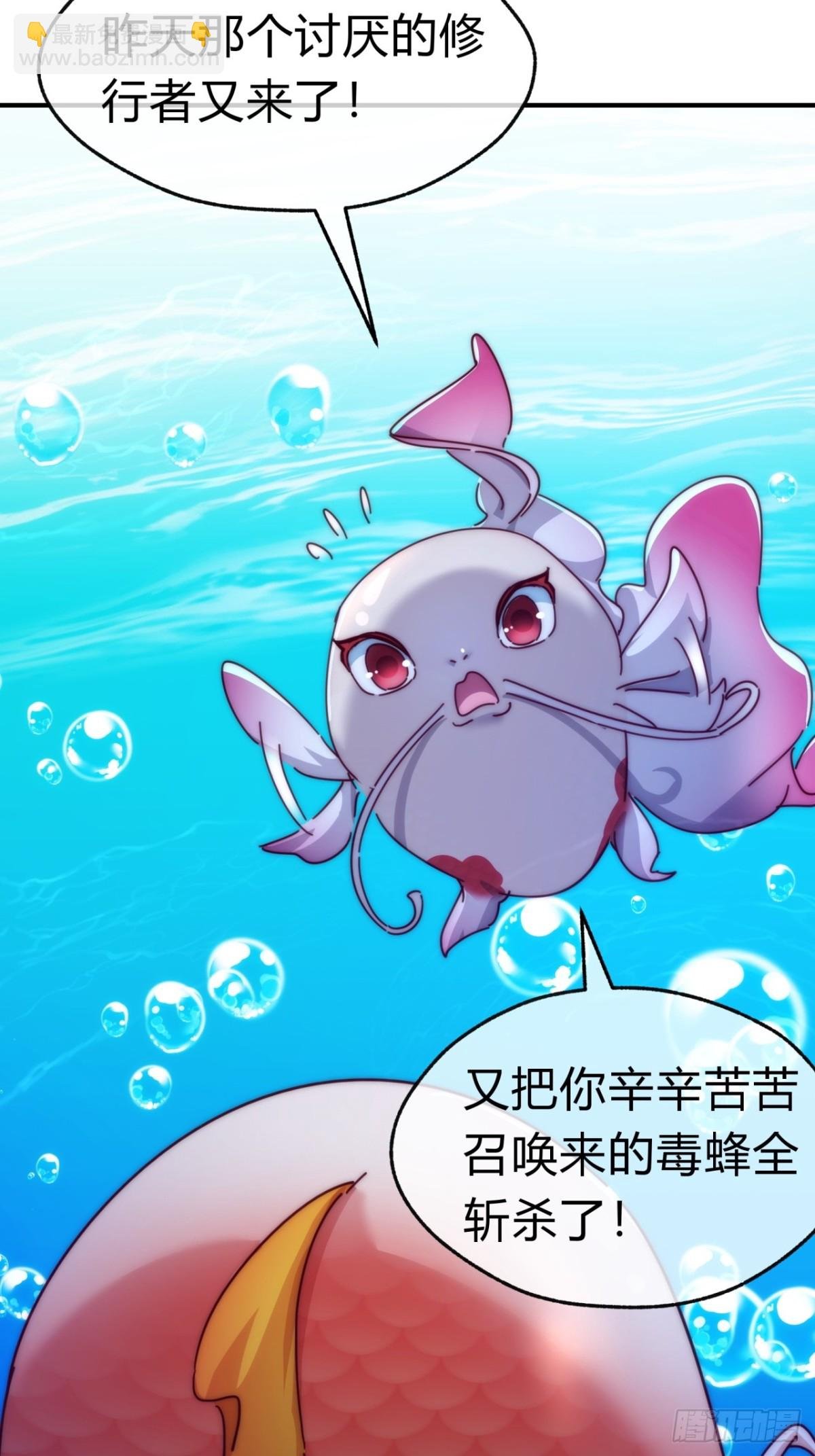 67话 锦鲤一族