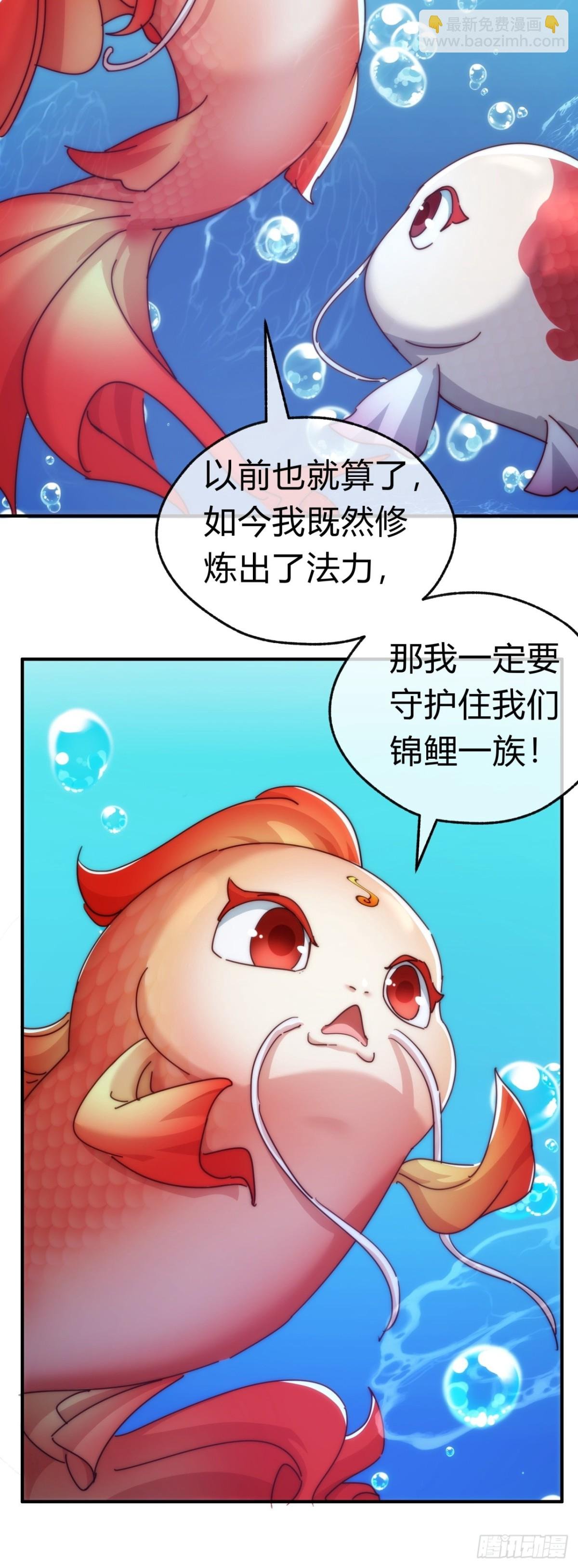 67话 锦鲤一族