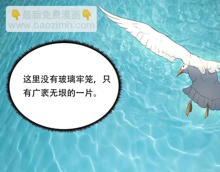 第40话 大海啊，全是水