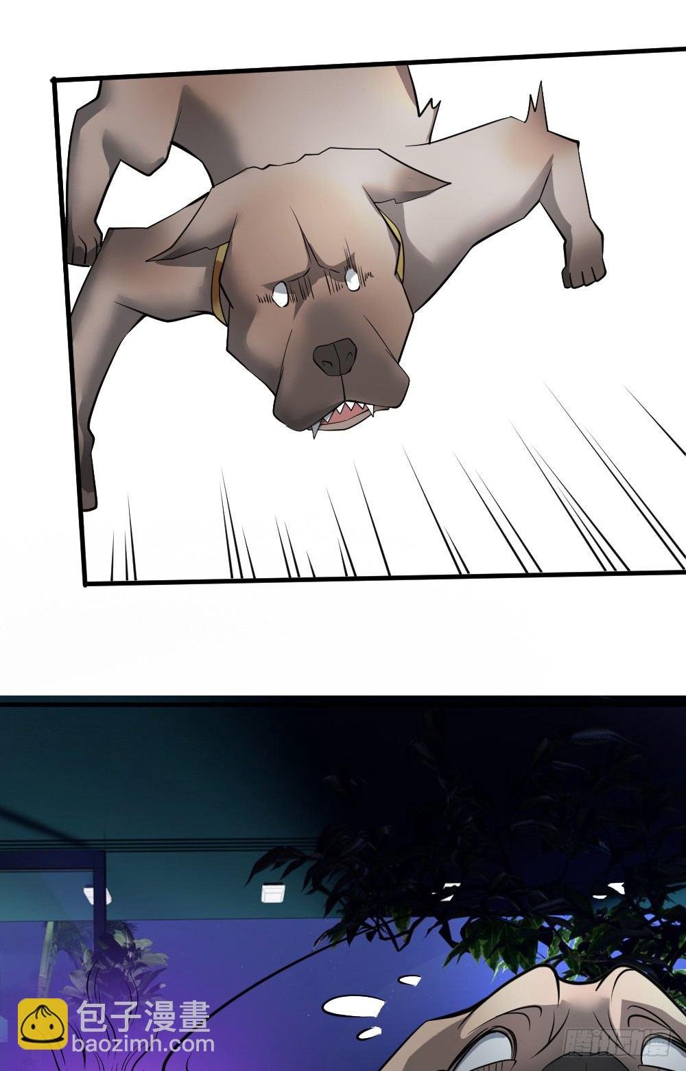 jj被狗撞了