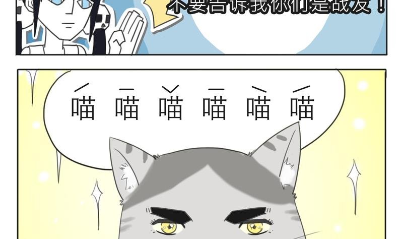 第07话 喵喵喵喵喵喵喵