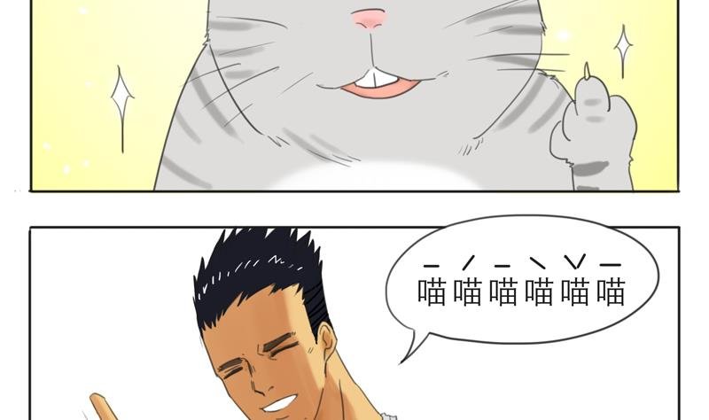 第07话 喵喵喵喵喵喵喵