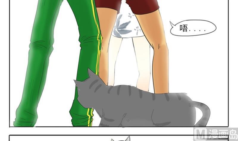第07话 喵喵喵喵喵喵喵