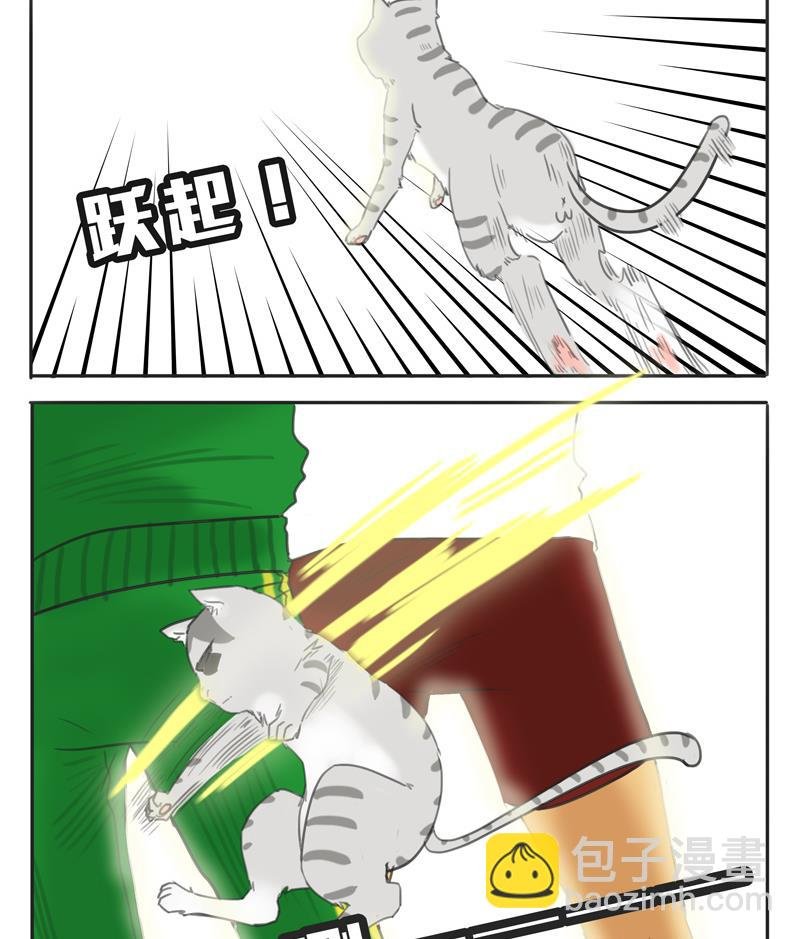 第07话 喵喵喵喵喵喵喵