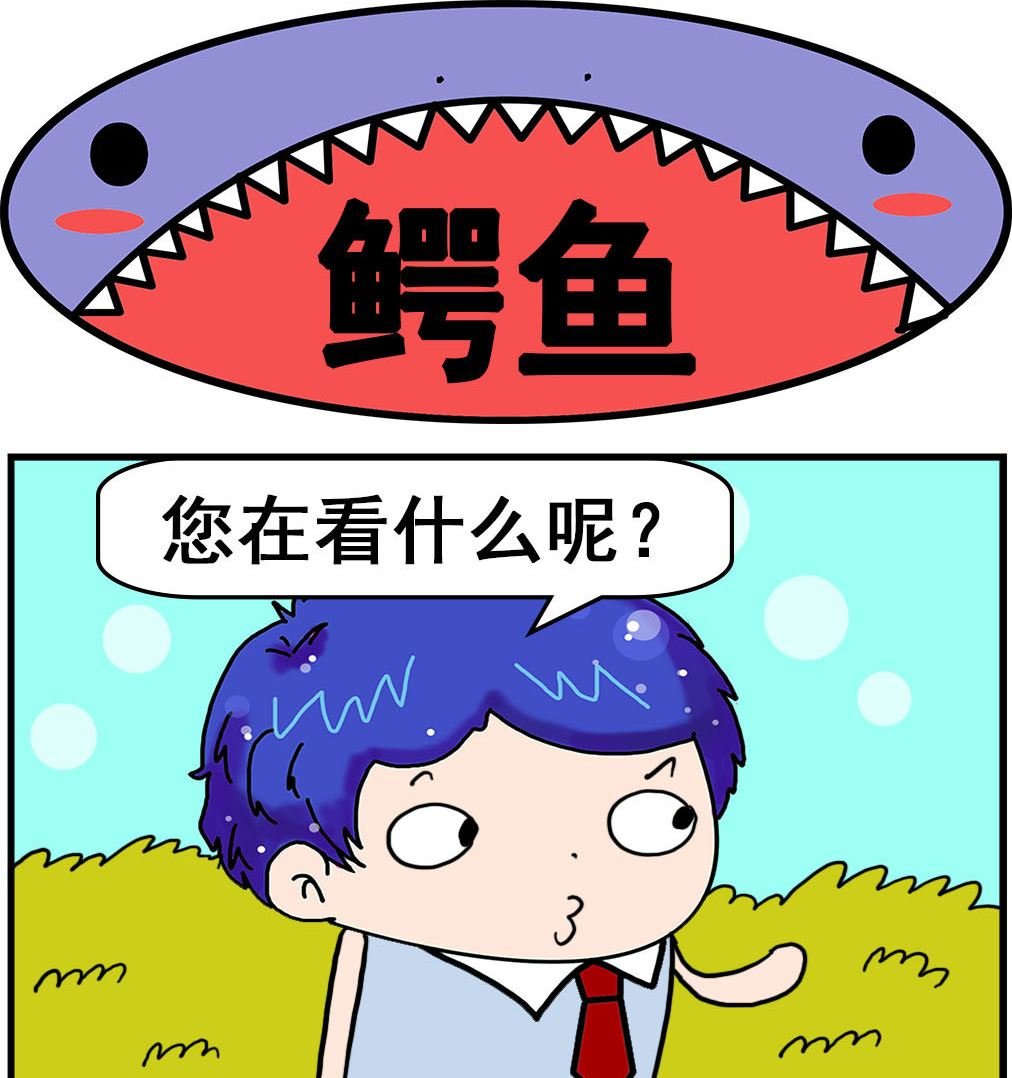 第025话 鳄鱼