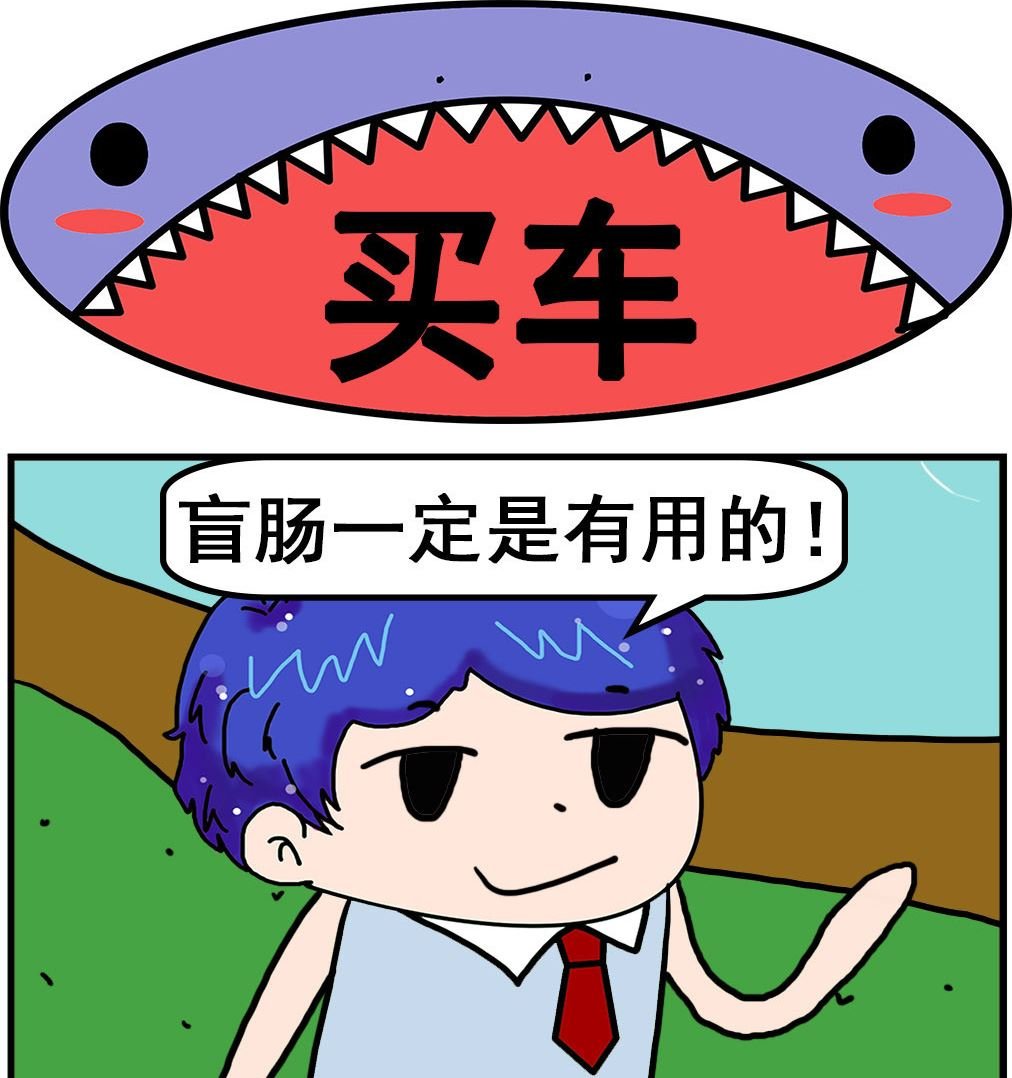第048话 买车
