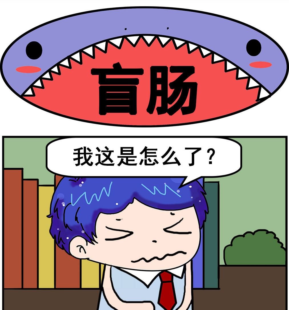 第049话 盲肠