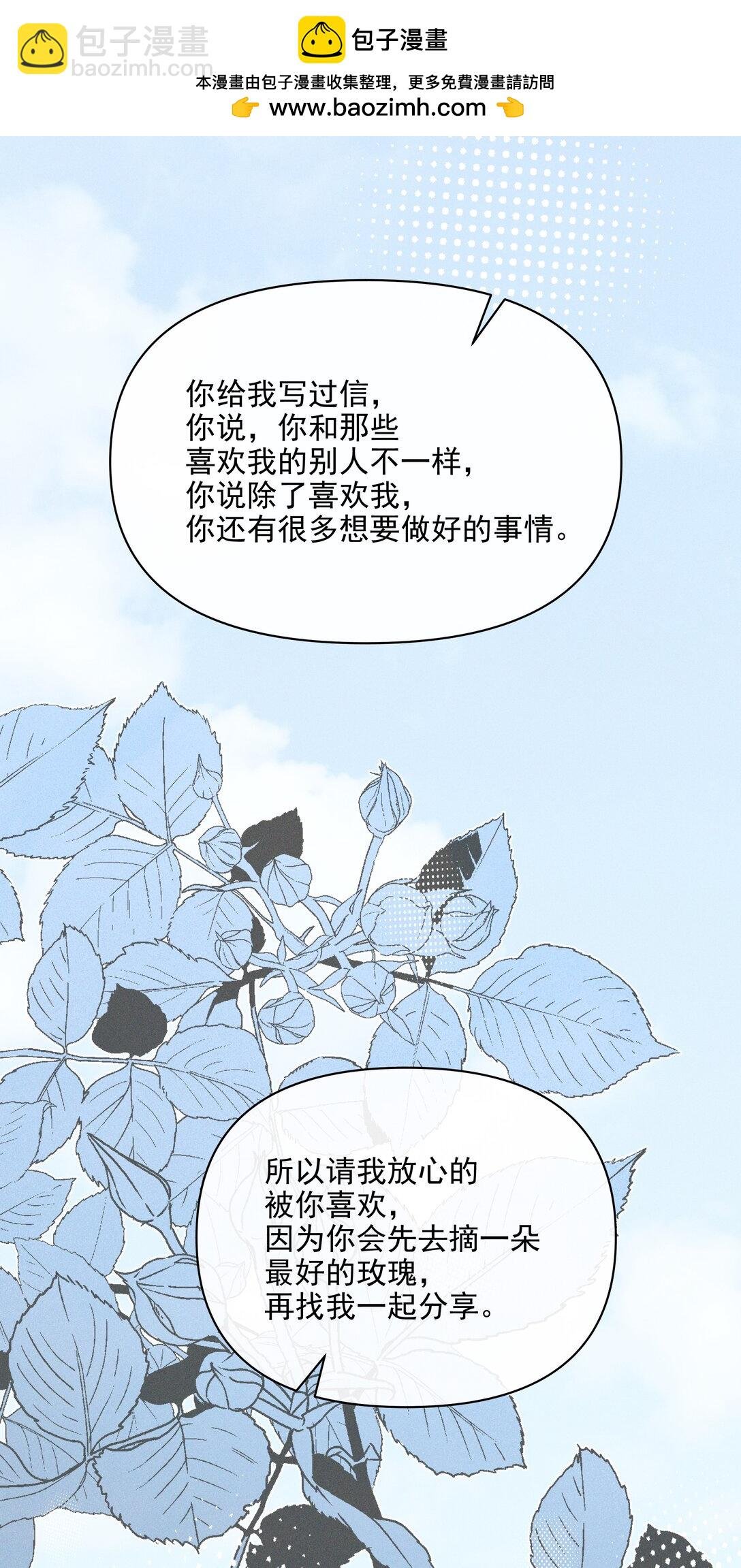 64 玫瑰