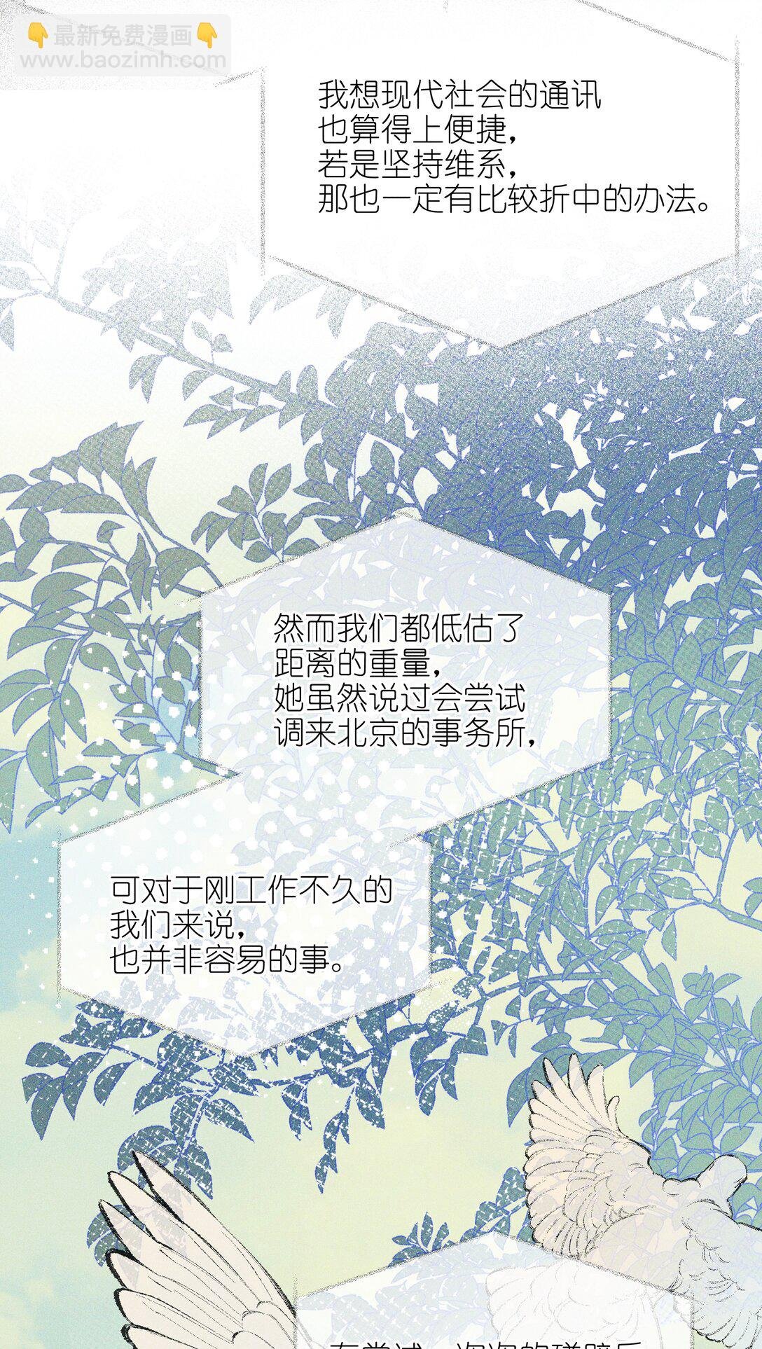 64 玫瑰