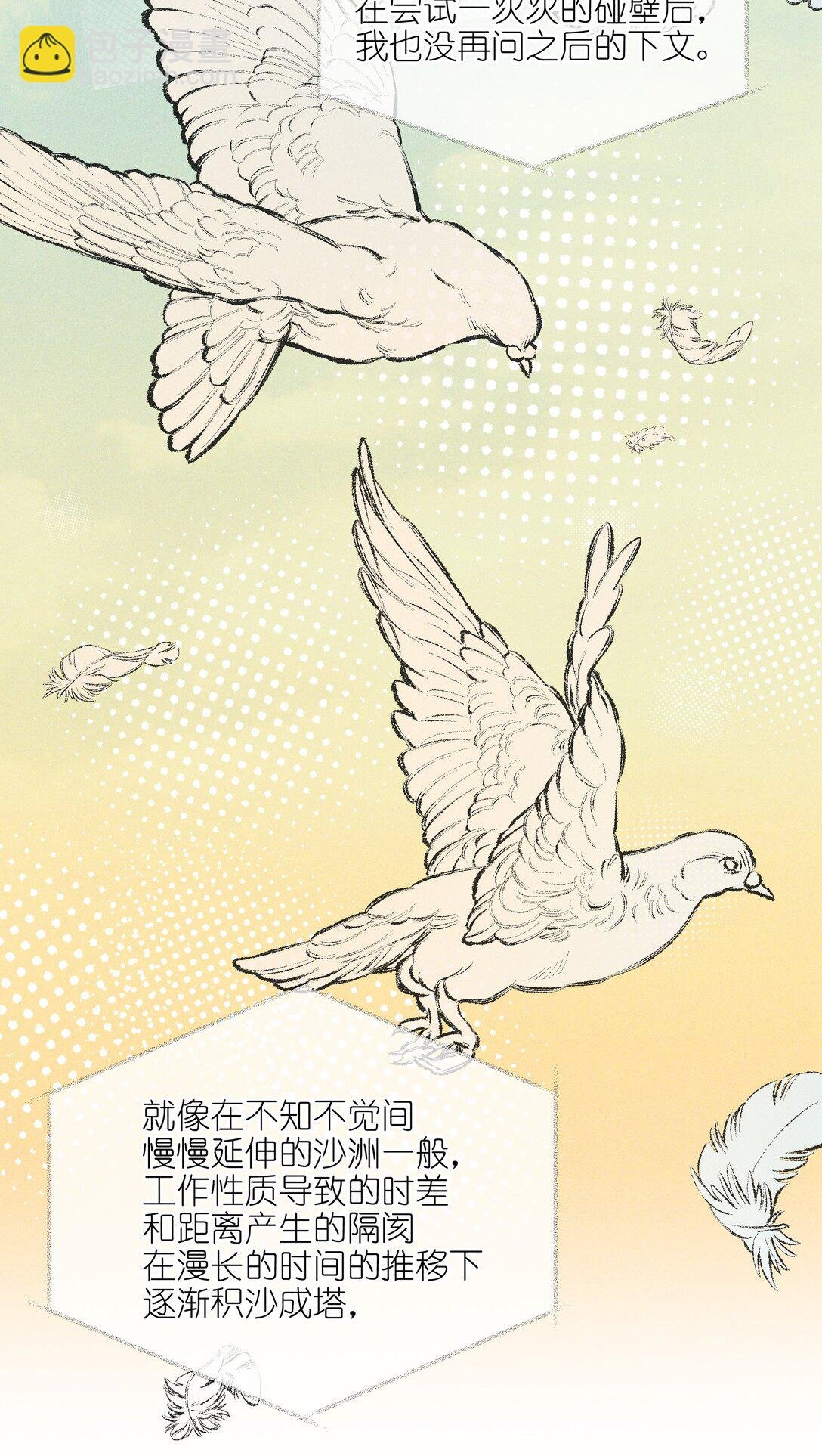 64 玫瑰