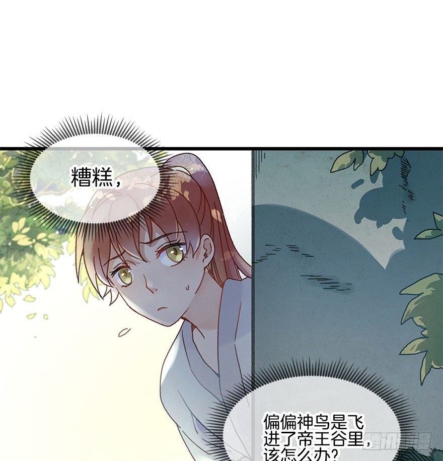 第十九镜·神鸟？怪物？！