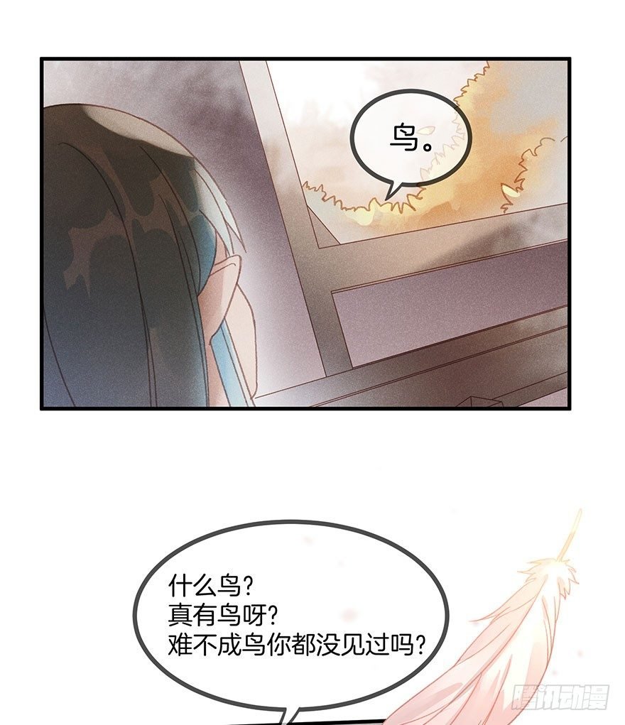 第五十八镜·鹤意