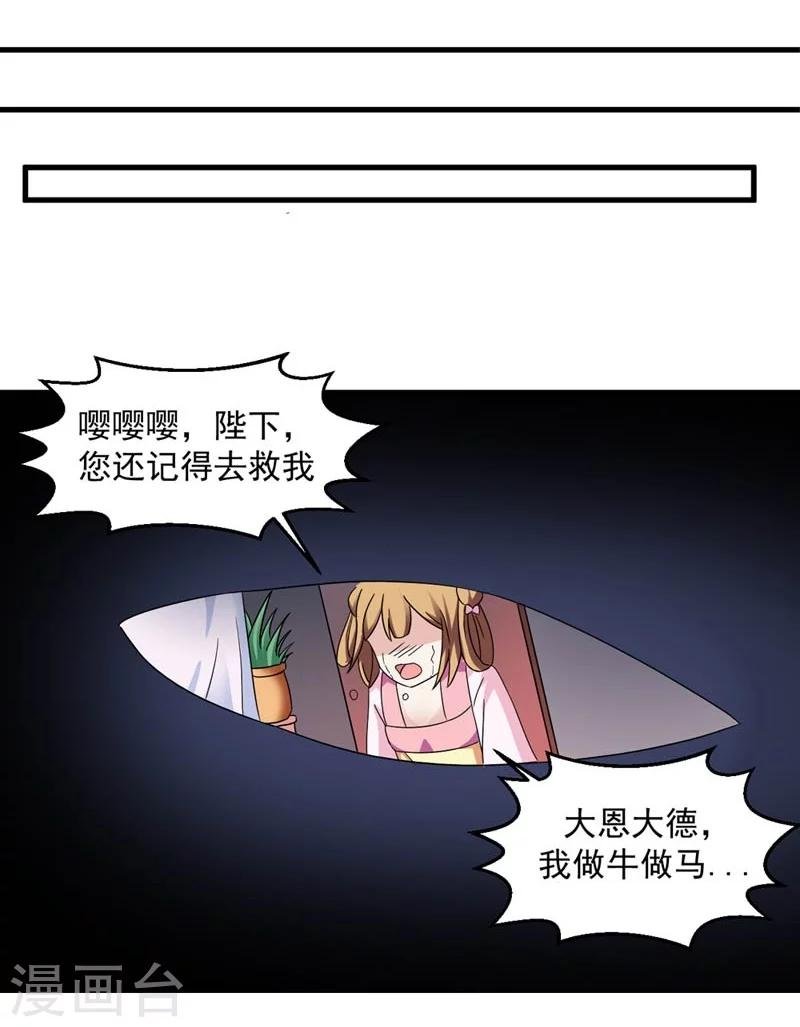 第27话 今晚月色很撩人
