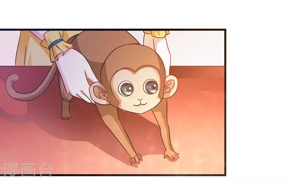 第36话 真真正正的合作