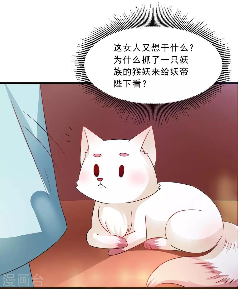 第36话 真真正正的合作