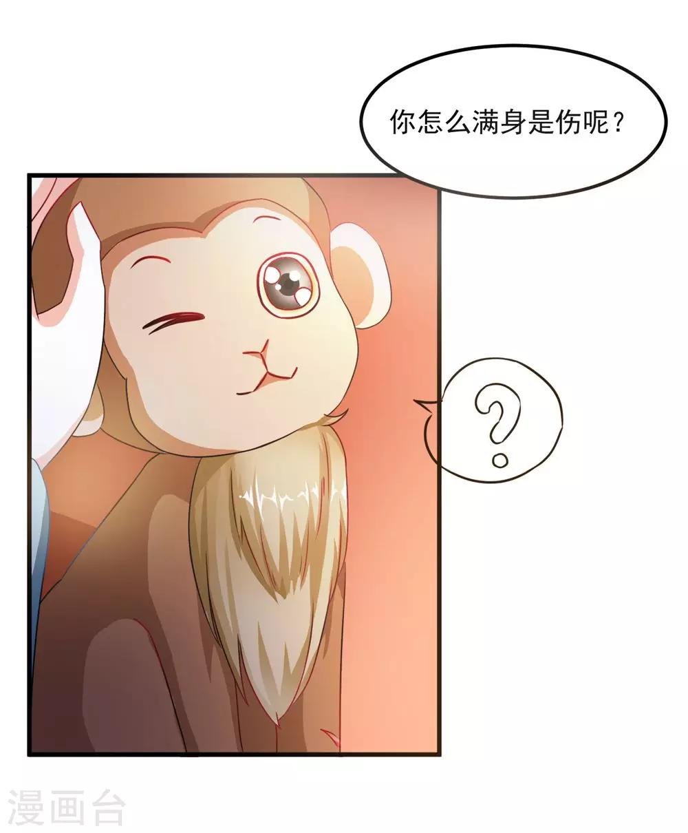 第36话 真真正正的合作