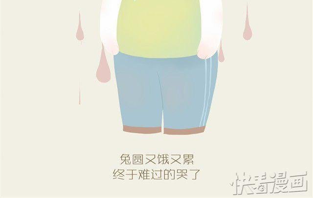 胖胖的爱#3 兔圆篇