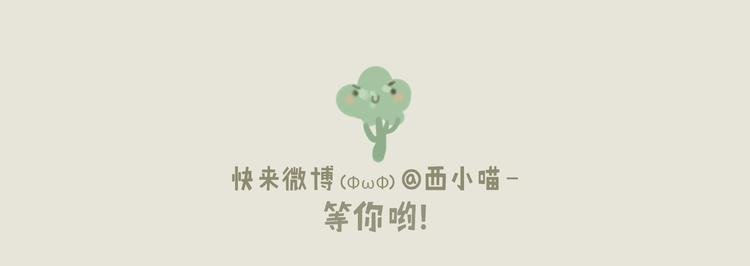好吃的童话#35 西兰花与树袋熊