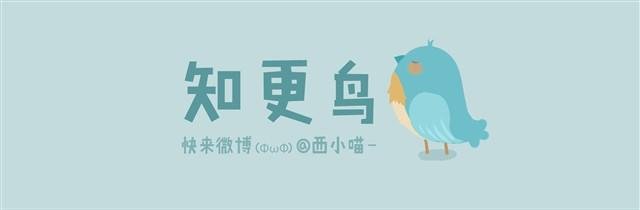 知更鸟