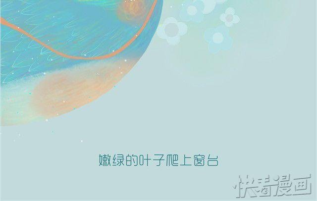 知更鸟
