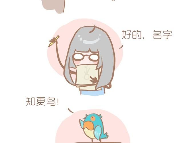 知更鸟