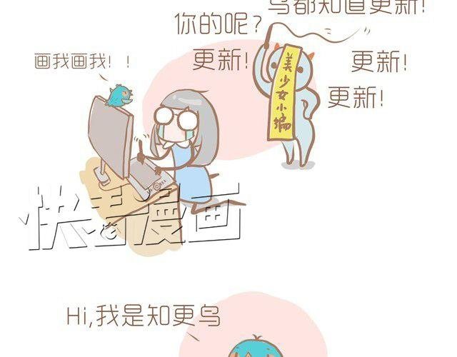 知更鸟