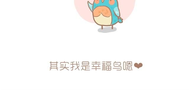知更鸟