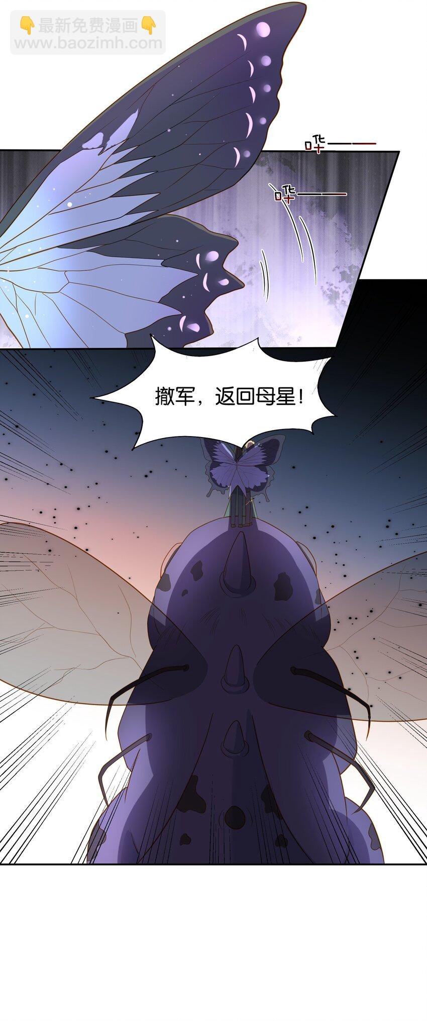 48 哥哥已经属于我了