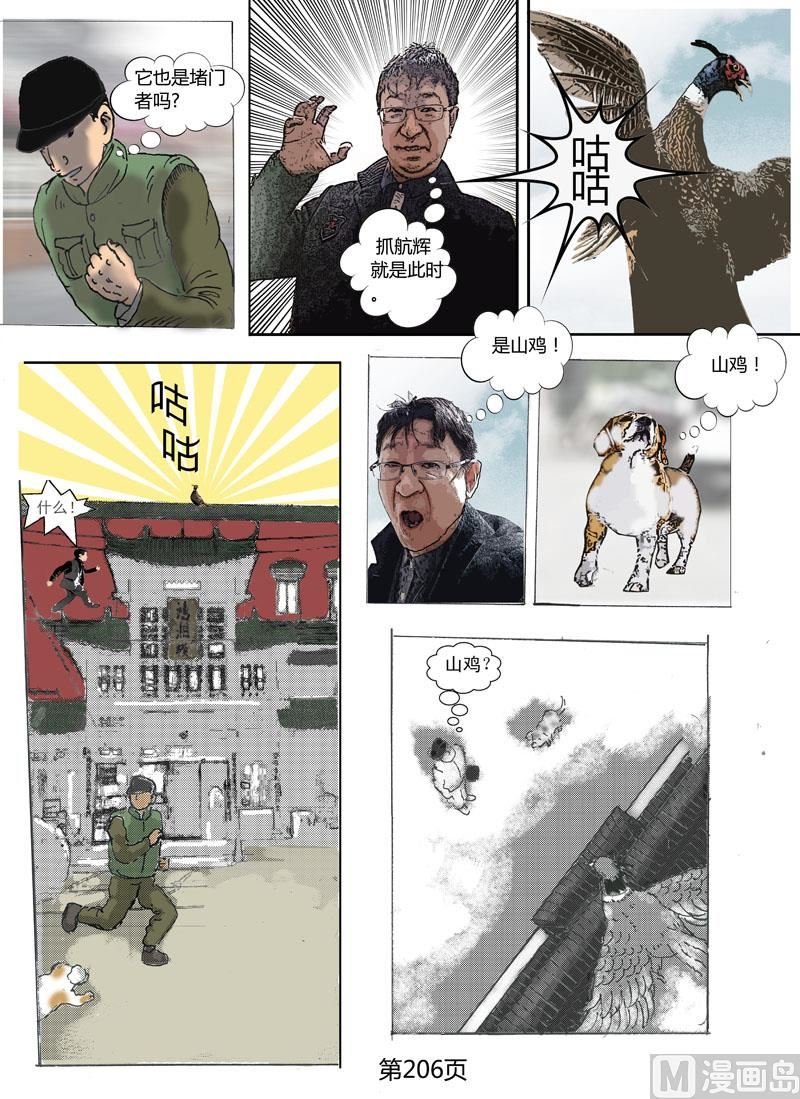第56章 山鸡