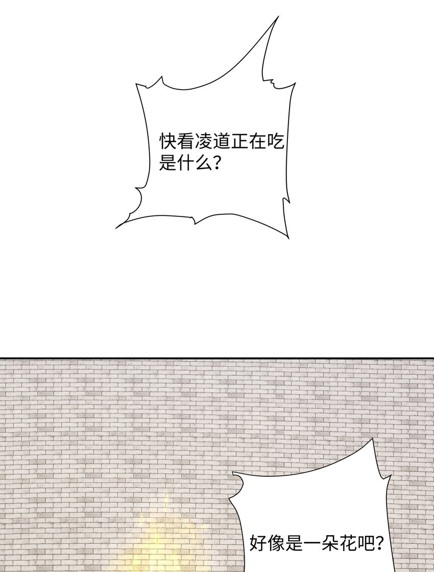 第34话 凌道临时突破