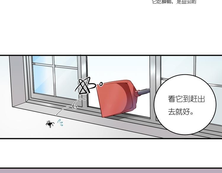 第6话 天降第三者