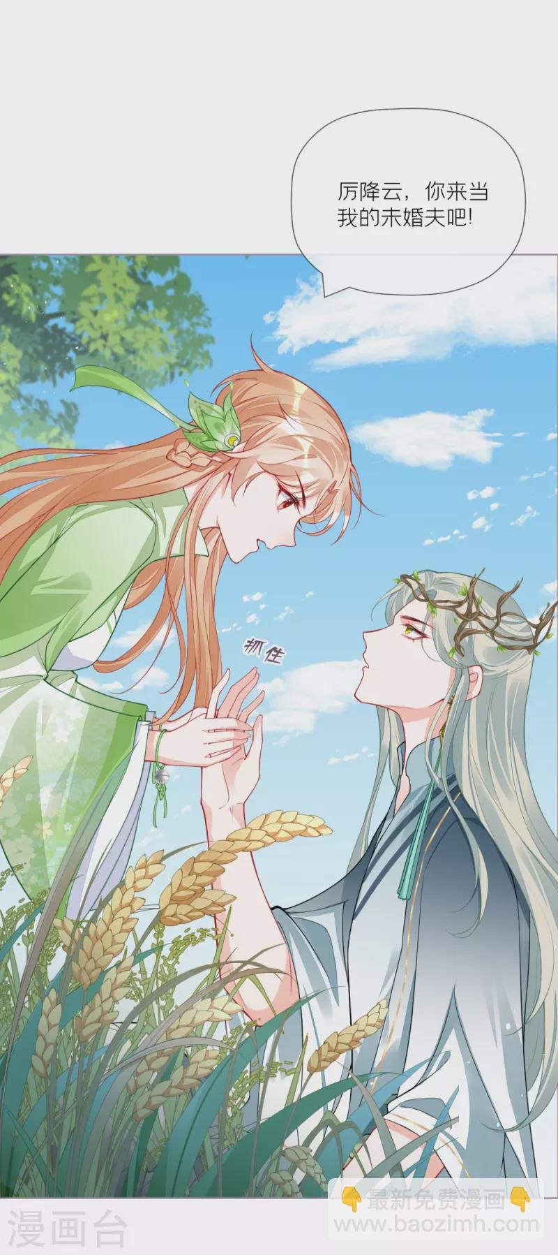 第33话 喜得未婚夫