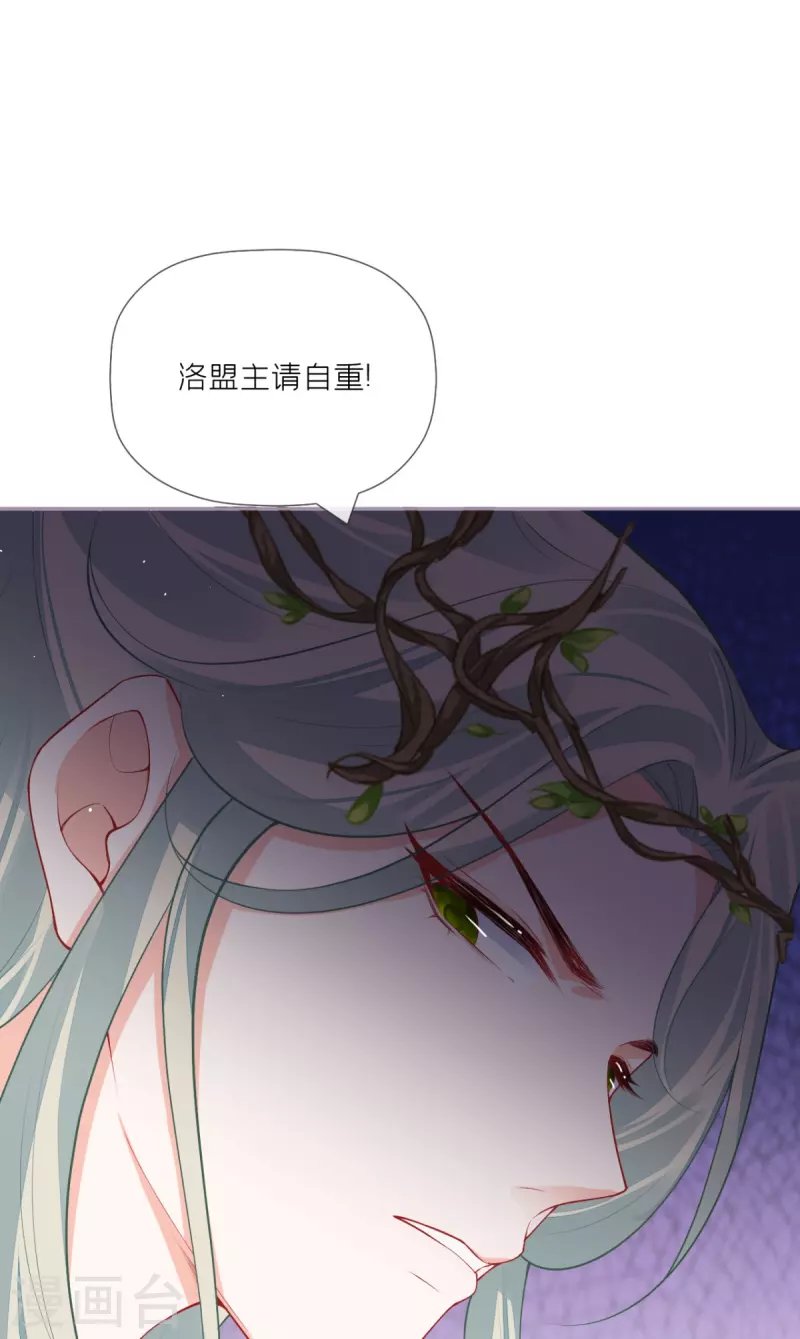 第33话 喜得未婚夫