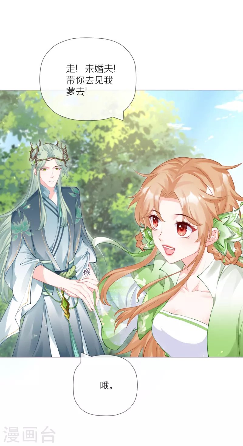 第33话 喜得未婚夫